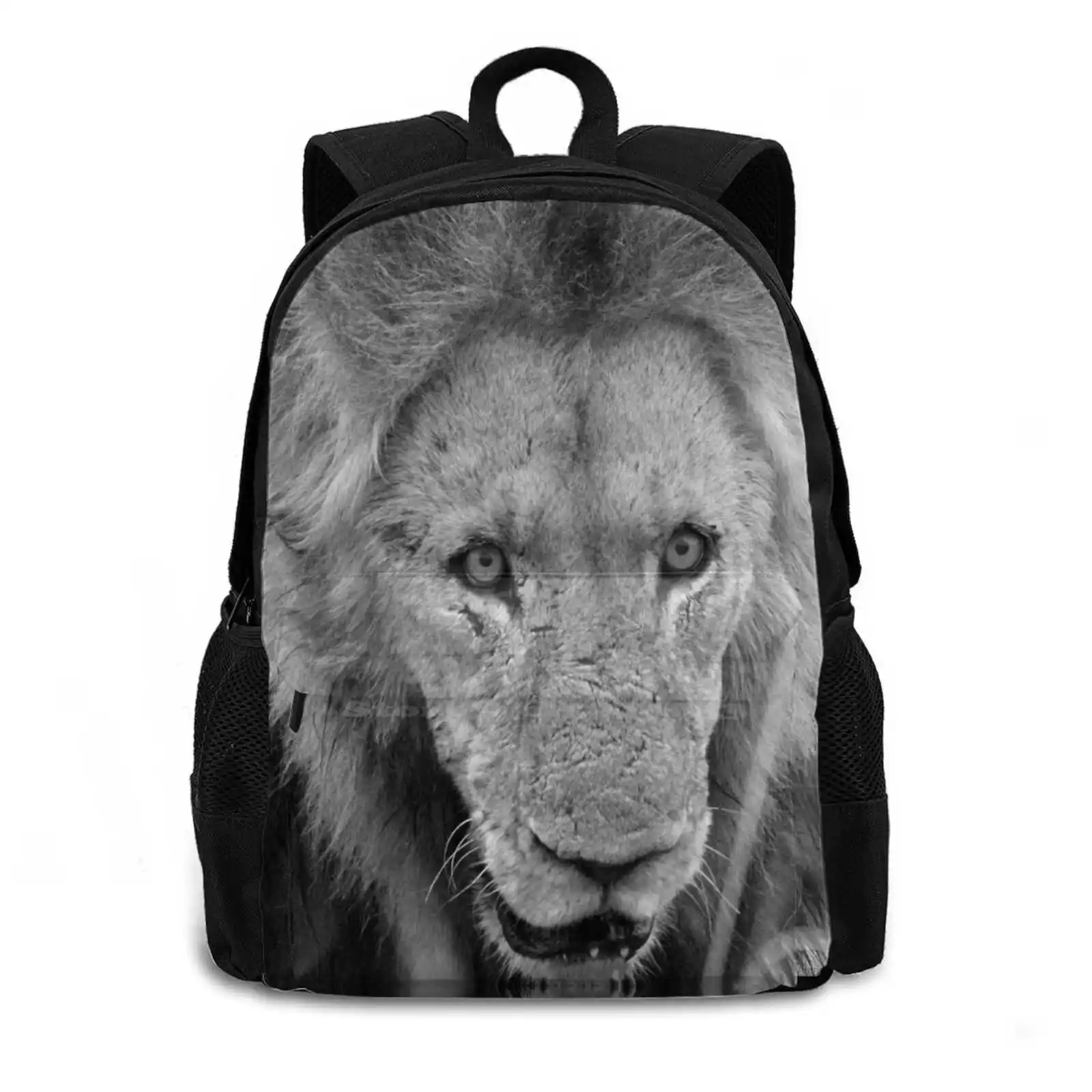 Dont Come Closer Its Our Food! Pattern Design Bagpack School Bags Big Cat Lion Mapogo Makulu Kill Wild Africa