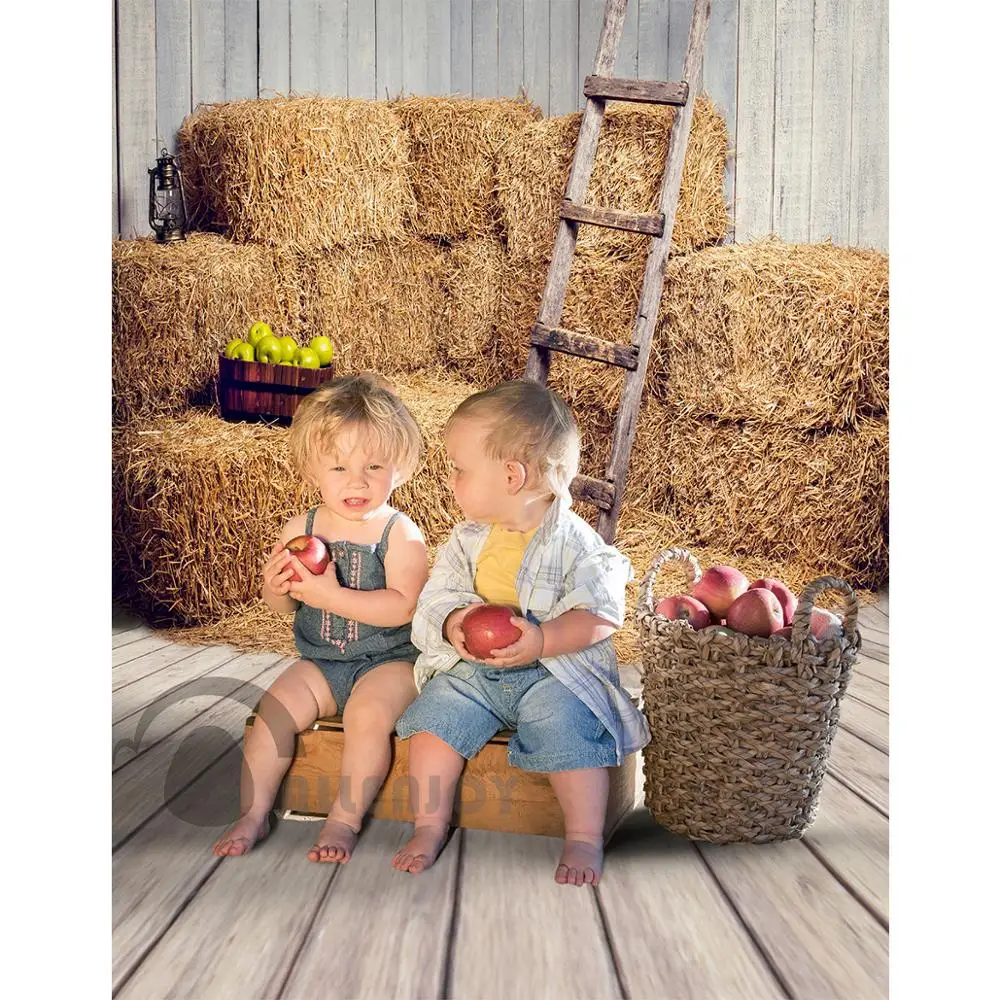 Allenjoy fall photography Background Barn straw wood farm autumn countryside ladder kids fantasy backdrop photophone photoshoot