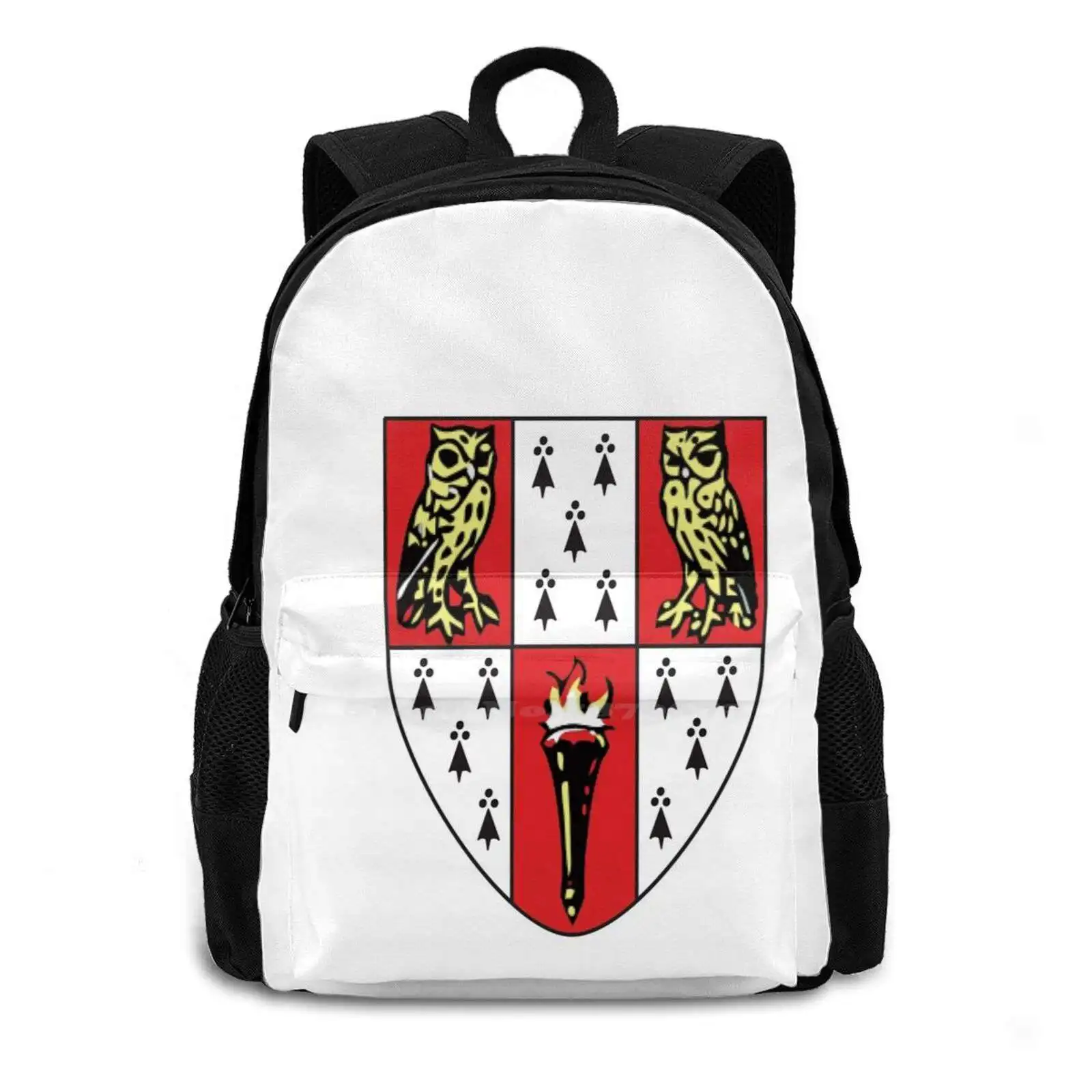 Hughes Hall Travel Laptop Bagpack School Bags University College