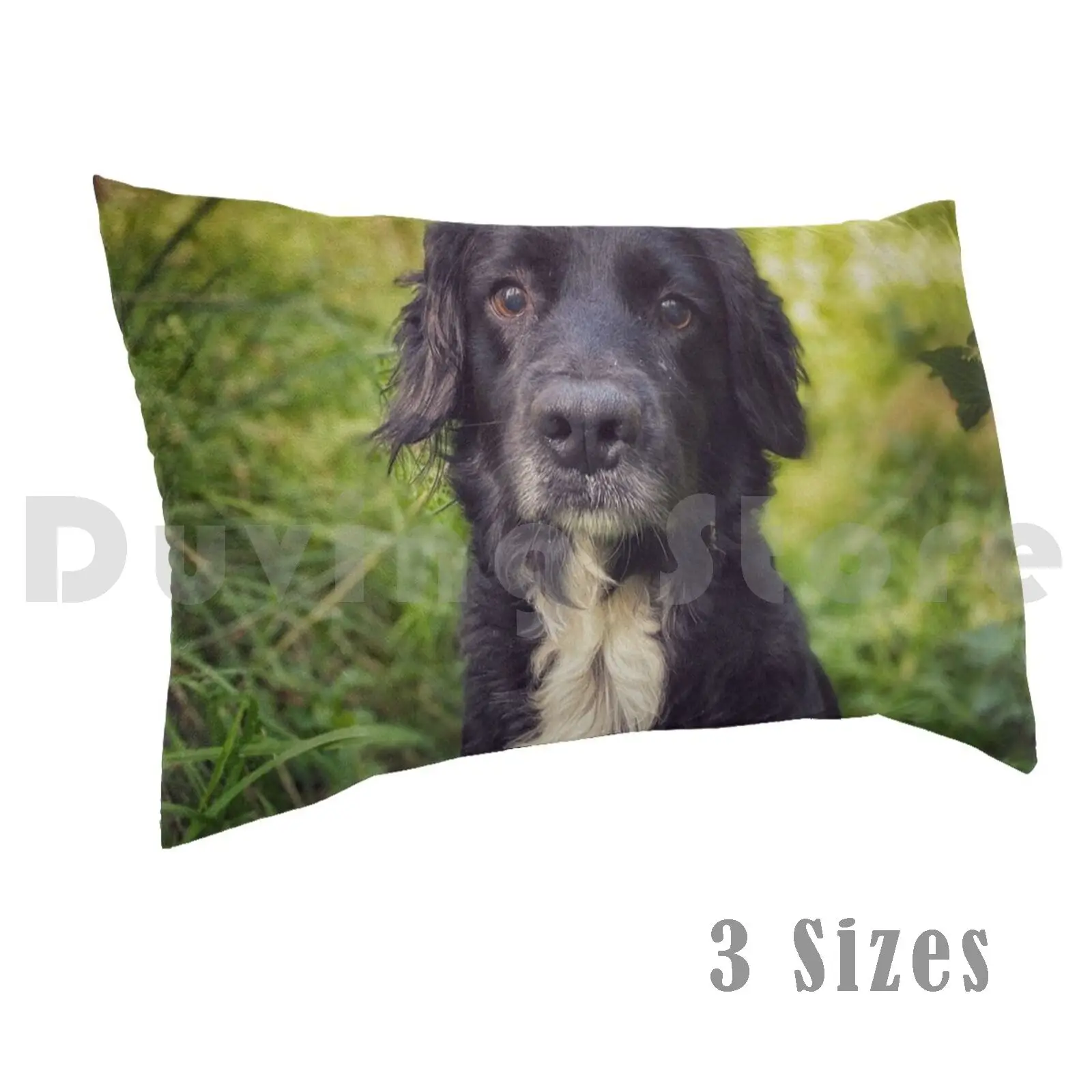 Funda de almohada Black Spaniel In The Grasspillow, negro, blanco, verde, Vintage, vignette, perro, cachorro, lindo