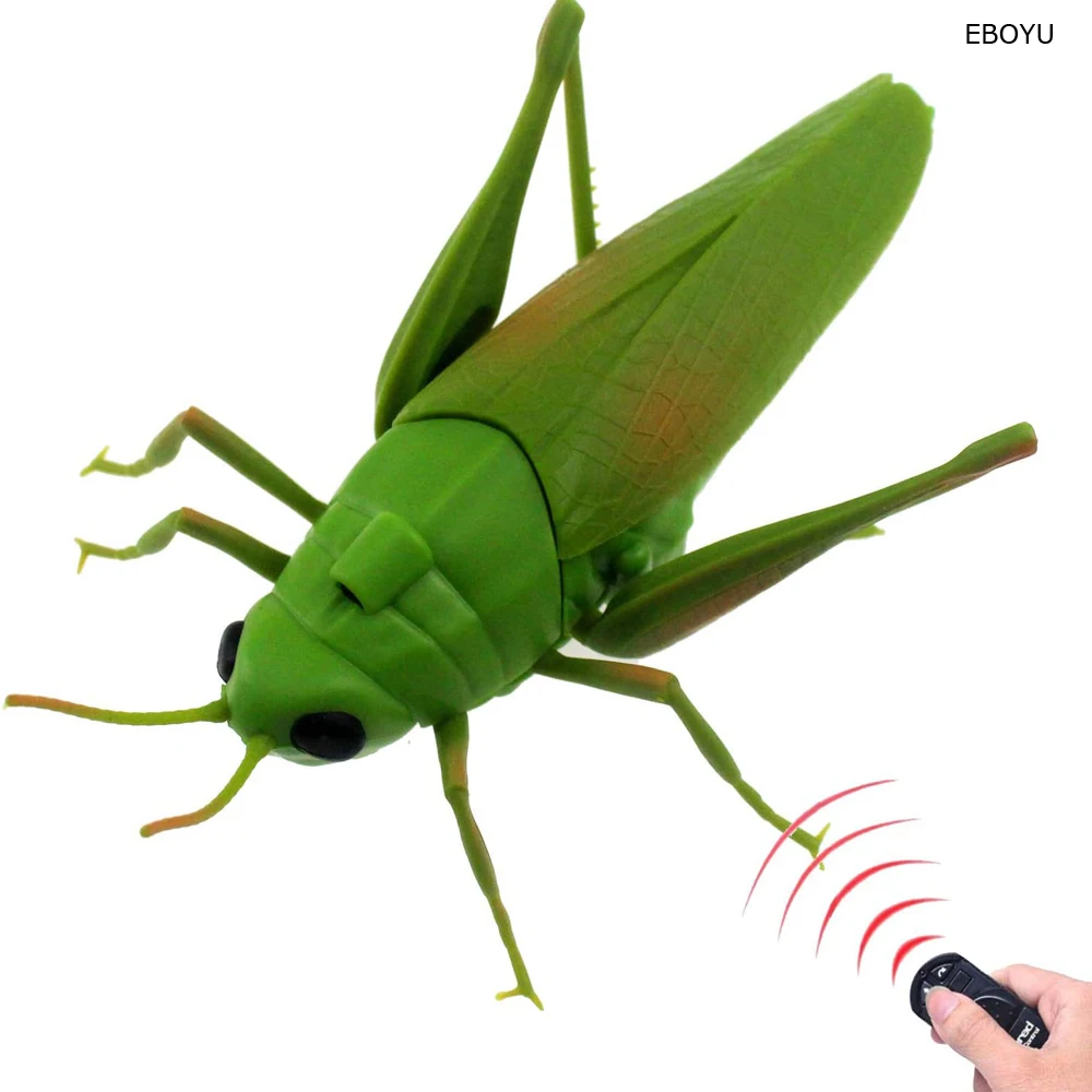 Eboyu rc grasshopper grama de controle remoto funil brinquedo animal locust eletrônico falso inseto carro veículo crianças presentes aniversário