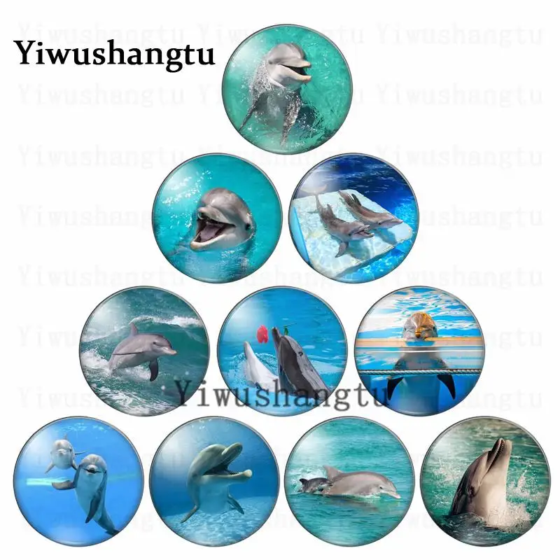 Cute cartoon Ocean Animals Whales painting 10pcs 12mm/18mm/20mm/25mm Round photo glass cabochon demo flat back Making findings