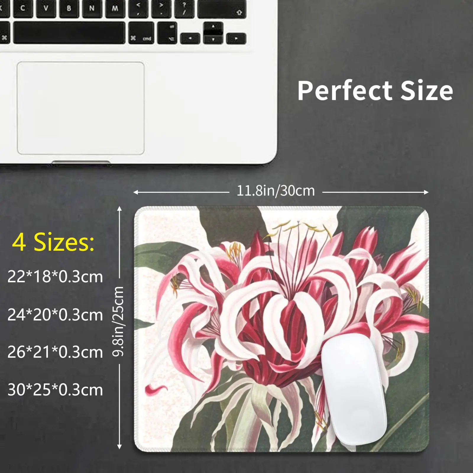 Queen Emma Spider Lily Botanical Watercolour Mouse Pad DIY Print Floral Spring Summer Plants Nature