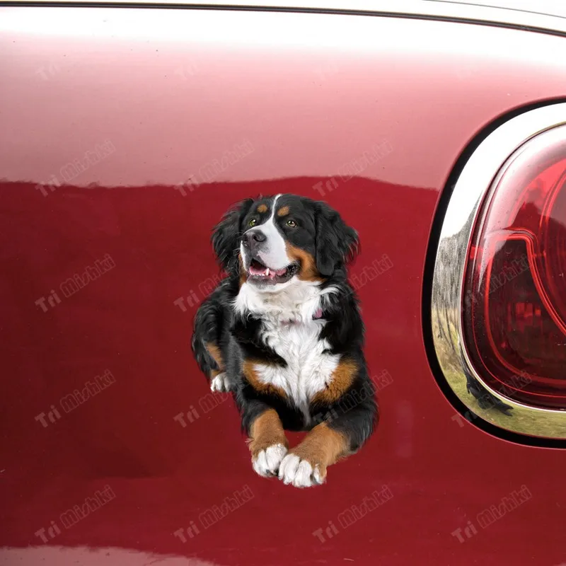 Tri mishki WCS625 Swiss Bernese Mountain Dog car sticker PVC colorful Decals sticker on Car motorcycle Laptop Luggage