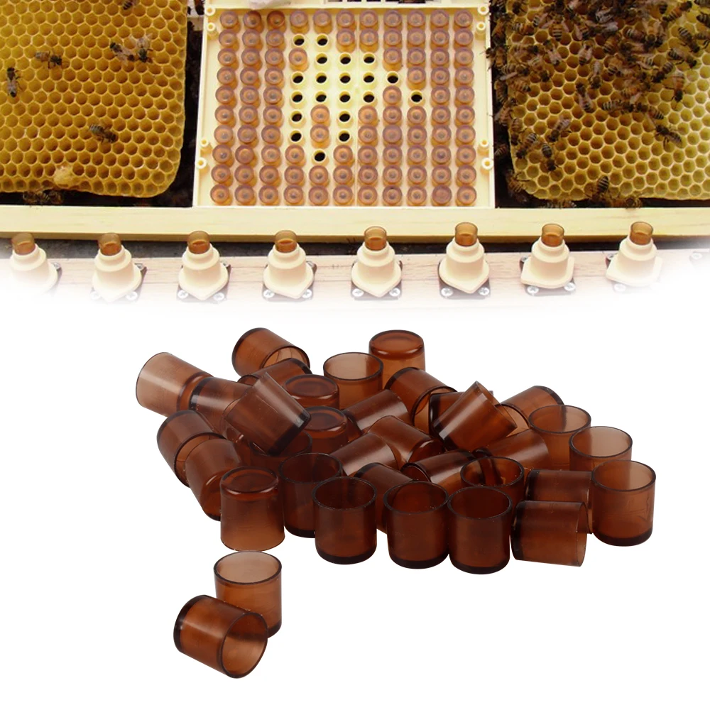 110 PCS|Beekeeping Bee Queen Cells Nicot Larva Rearing System Honeybee Equipment Apiculture Tools Beehive For Beekeeper