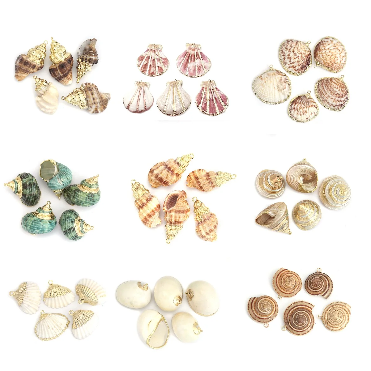 Natural Shell Charms Gold Color Conch Shell Charms Pendant Natural At Random For DIY Jewelry Necklaces Making Accessorie, 5 PCs