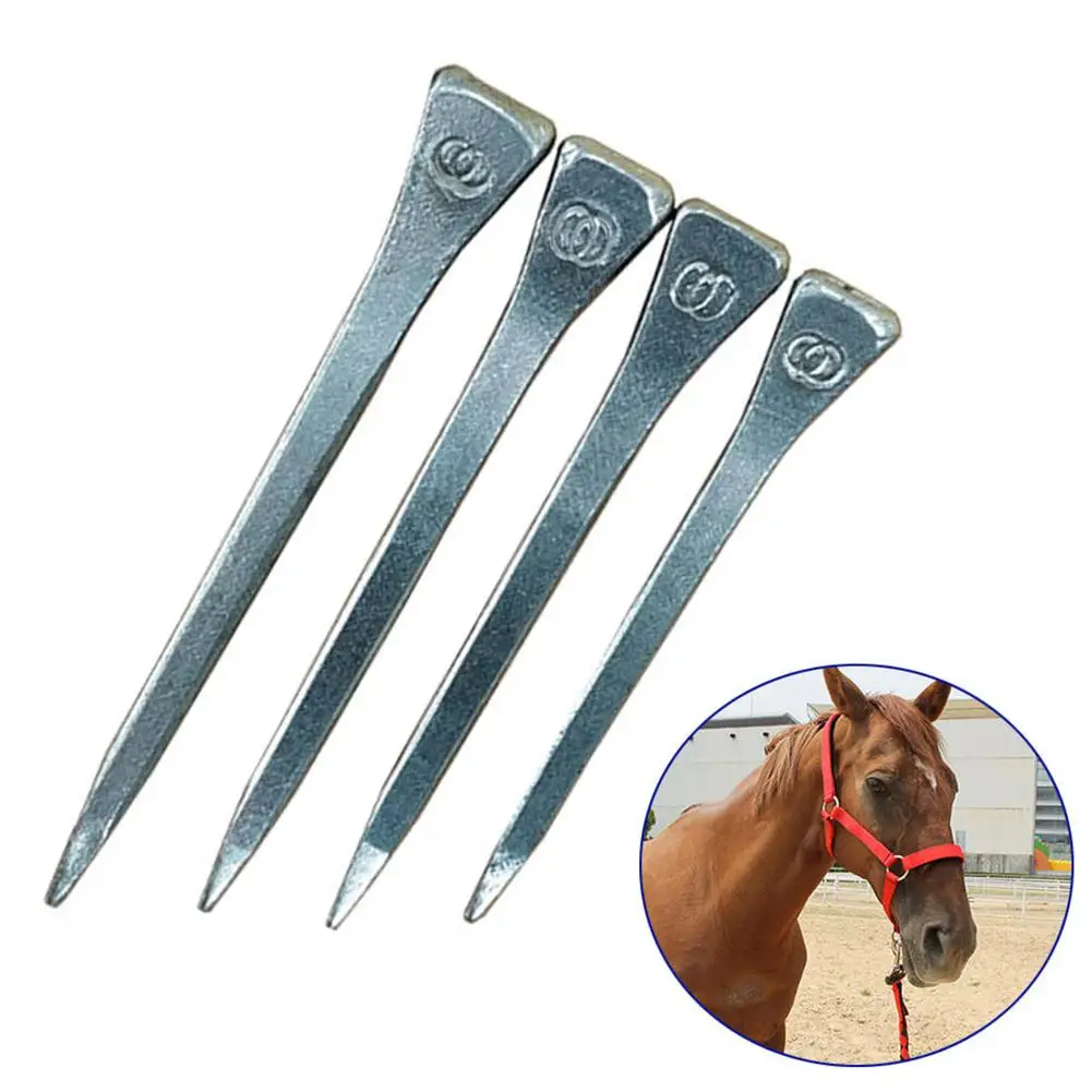 250 Stks/partij Staal Hoefijzer Nagels E3/E4/E5/E6 Hoge Kwaliteit Paard Schoen Nagels Paardensport Sport Apparatuur paard Training Levert