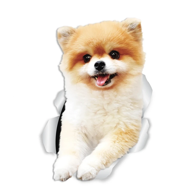 

A0529#13cm/17cm Removable Decal Funny Pomeranian Dogs Car Sticker Waterproof Accessories on Bumper Rear Window