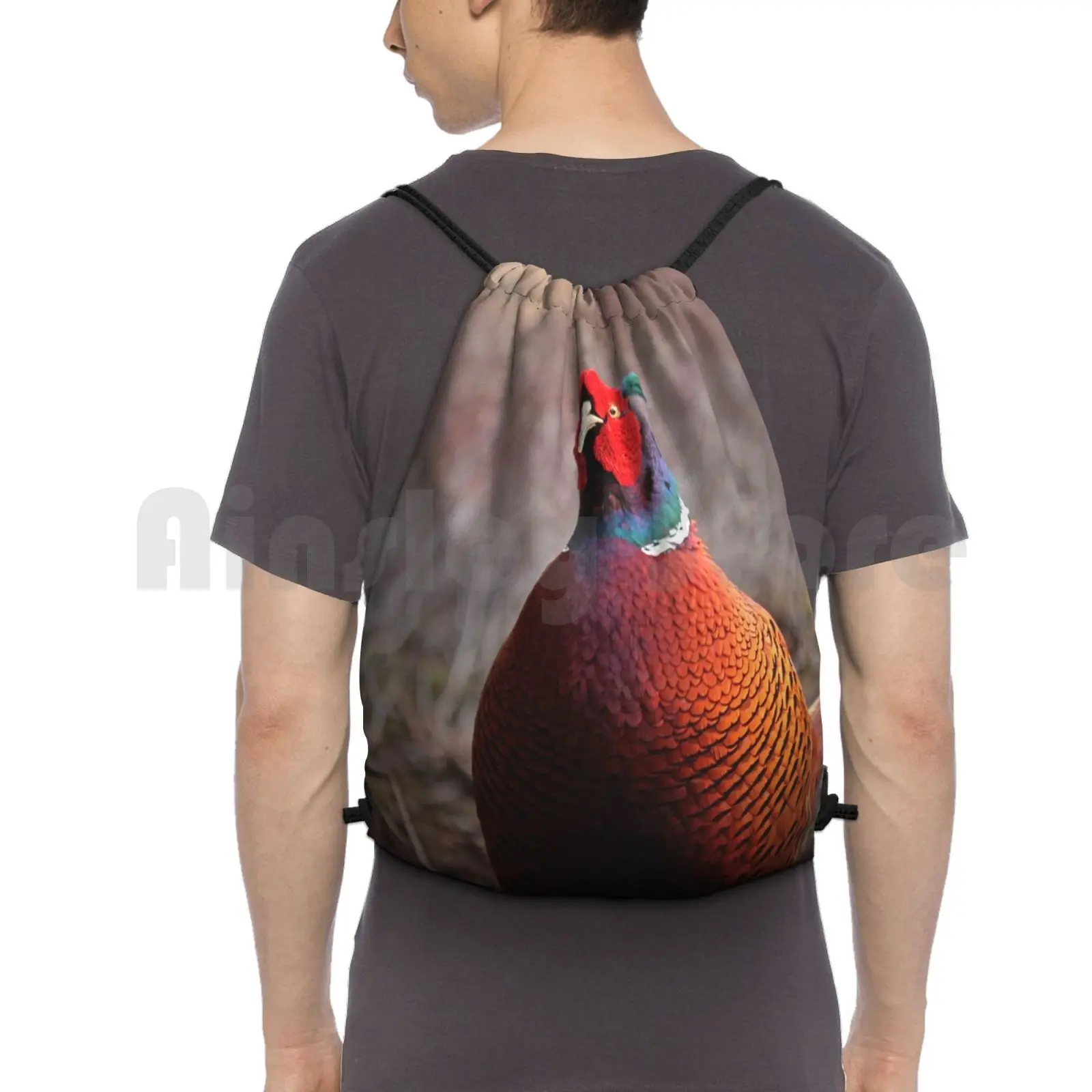 A Very Pleasant Pheasant Backpack Drawstring Bag Riding Climbing Gym Bag Pheasant Bird British Wildlife Game Bird Feathers