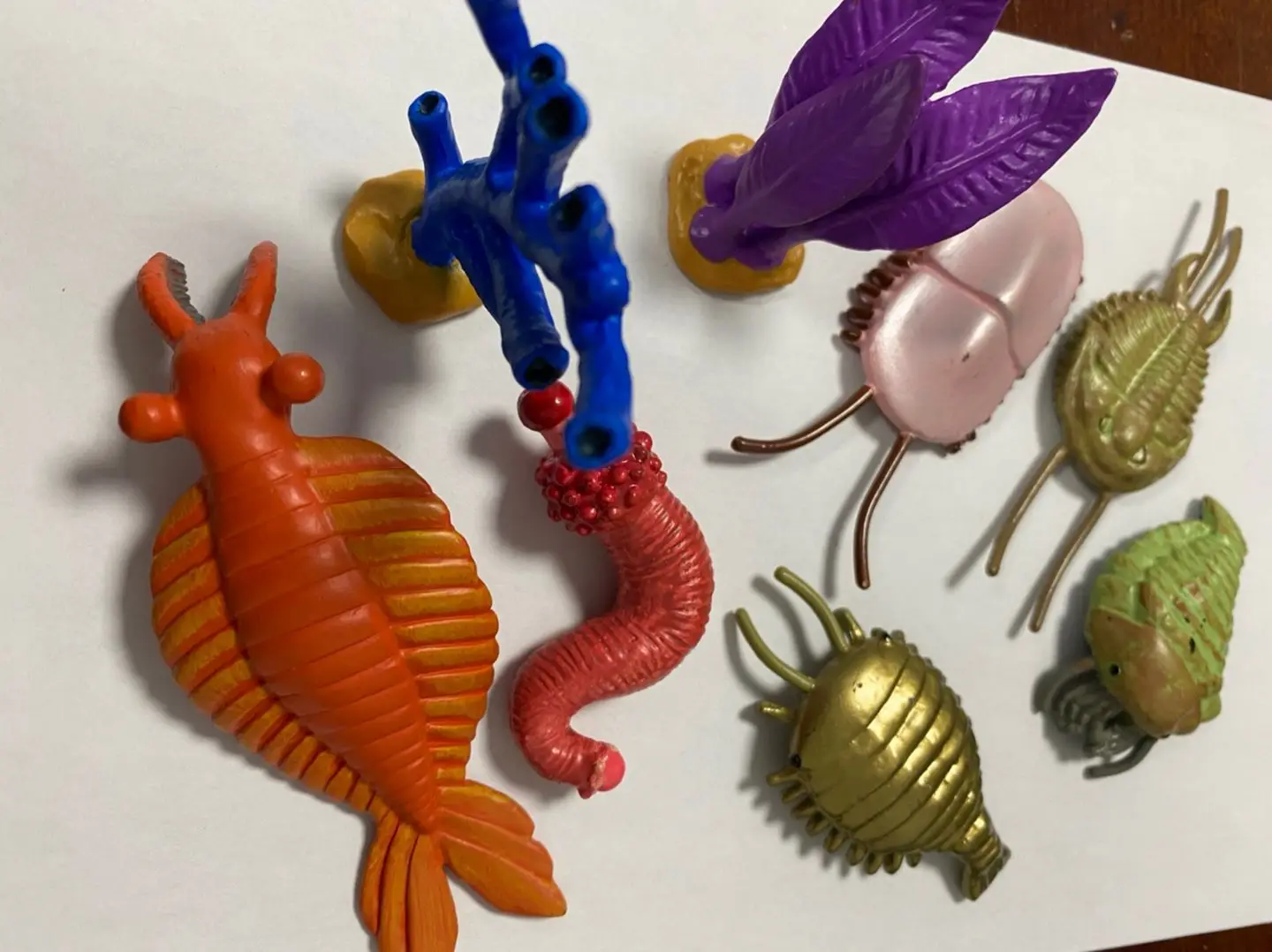 pvc   model    Cambrian biological model   set out of  print  scene decor ornament
