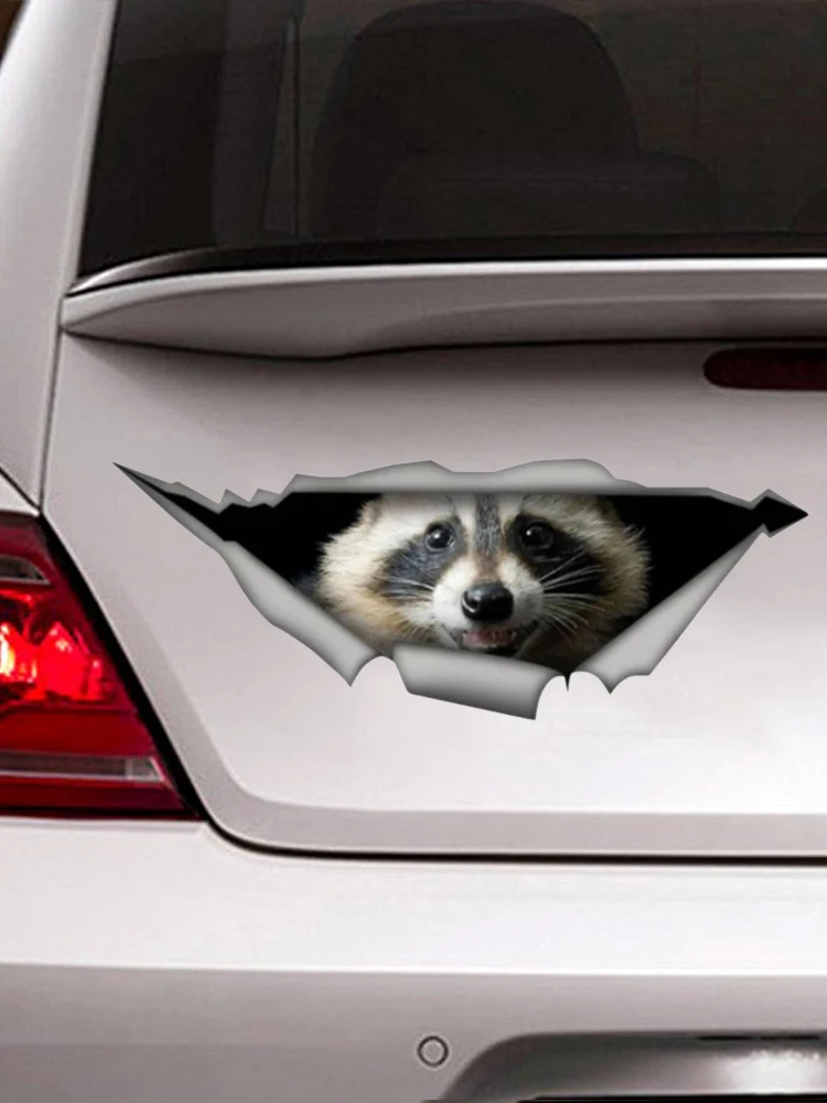 S50505# Various Sizes Personality PVC Decal 3D Raccoon Waterproof Car Sticker on Motorcycle Laptop