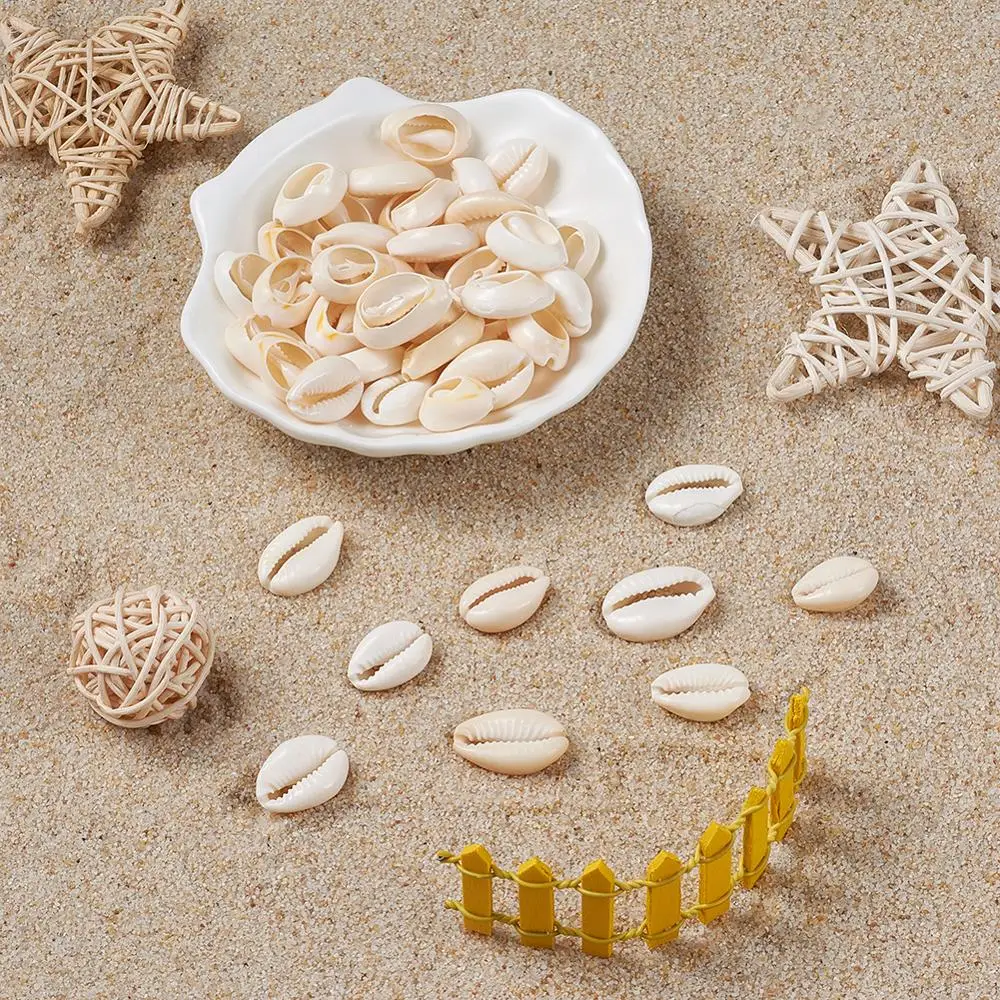 500g/lot Mixed Natural Spiral Shell Beads for Jewelry Making DIY Findings, Cowrie Shells, PapayaWhip, 18~20x13~14x6~8mm F60