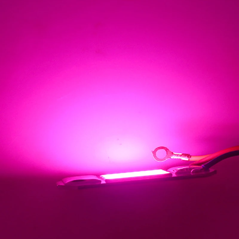 Chip de luz LED COB de espectro completo AC 220V 10W 20W 30W 50W sin necesidad de controlador para el crecimiento de plántulas de flores iluminación