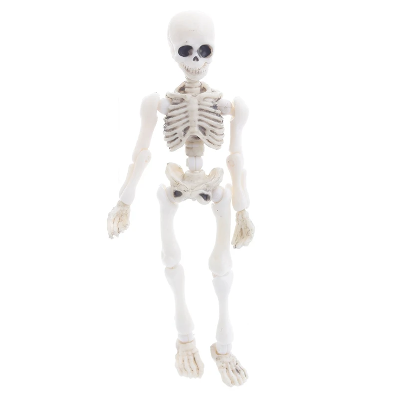 Movable Mr. Bones Skeleton Human Model Skull Full Body Mini Figure Toy Halloween