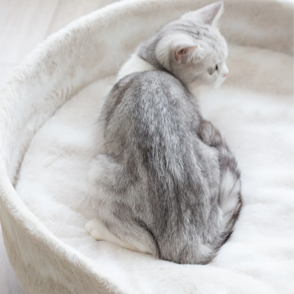 [S] Winter Warm Soft Comfortable Cat Nest Cute Velvet Kitten Cushion Puppy Cozy Sleeping Medium Dog Bed Stylish Supplies Pet Bed