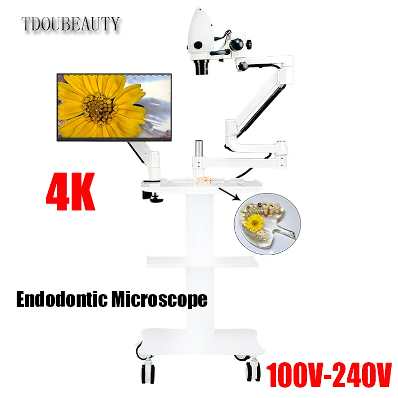 New 5X-33X Built-in Type Dental Electron Microscope 20 Million Pixels Video Support 4K Root Canal Microscope (100V-240V)