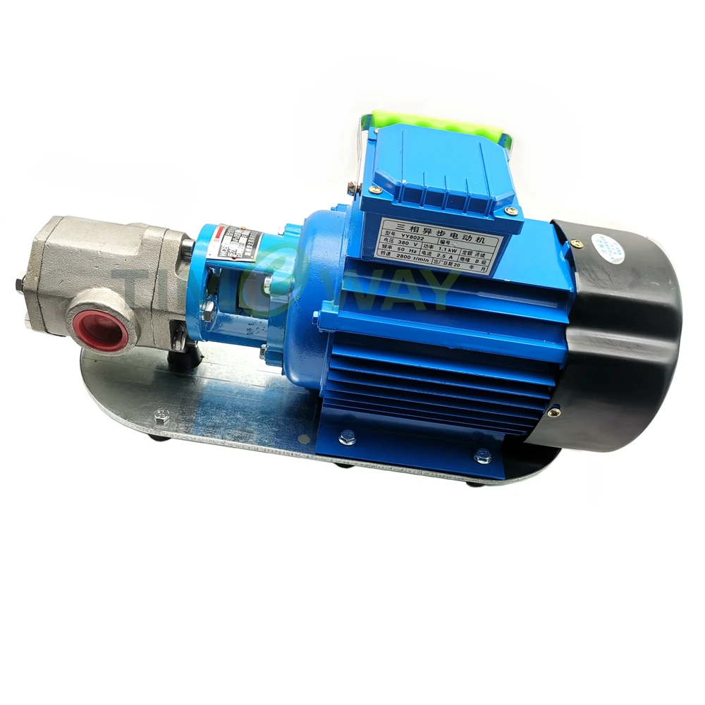 WCB Protable Gear Pump with Motor WCB-75P WCB-100P 304 Stainless Steel Fuel Transfer Oil Pump for WVO WMO Power 220V/380V