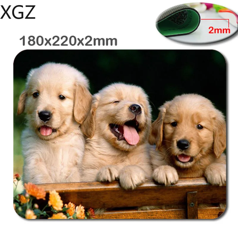 

XGZ Animals Cat Kitten Dog Golden Retriever Puppy Mousepad,Custom Rectangular Mouse Pad in 220*180*2mm - office accessory and