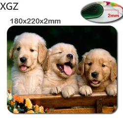 XGZ Animals Cat Kitten Dog Golden Retriever Puppy Mousepad,Custom Rectangular Mouse Pad in 220*180*2mm - office accessory and