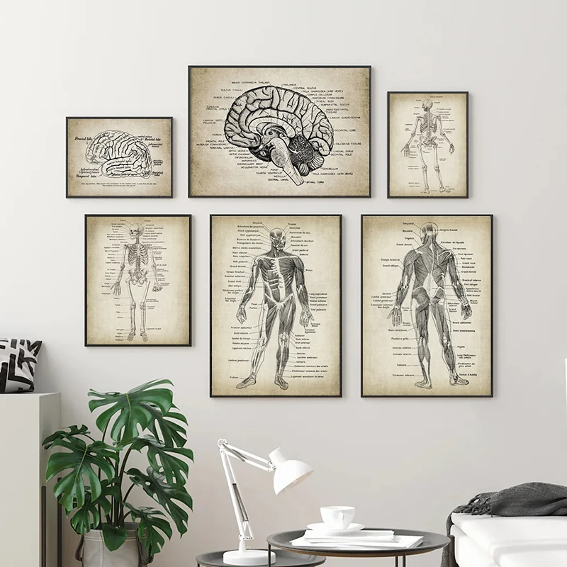 الرسم التصويري Poster Evolution تقييم ونصائح للاستخدام والشراء