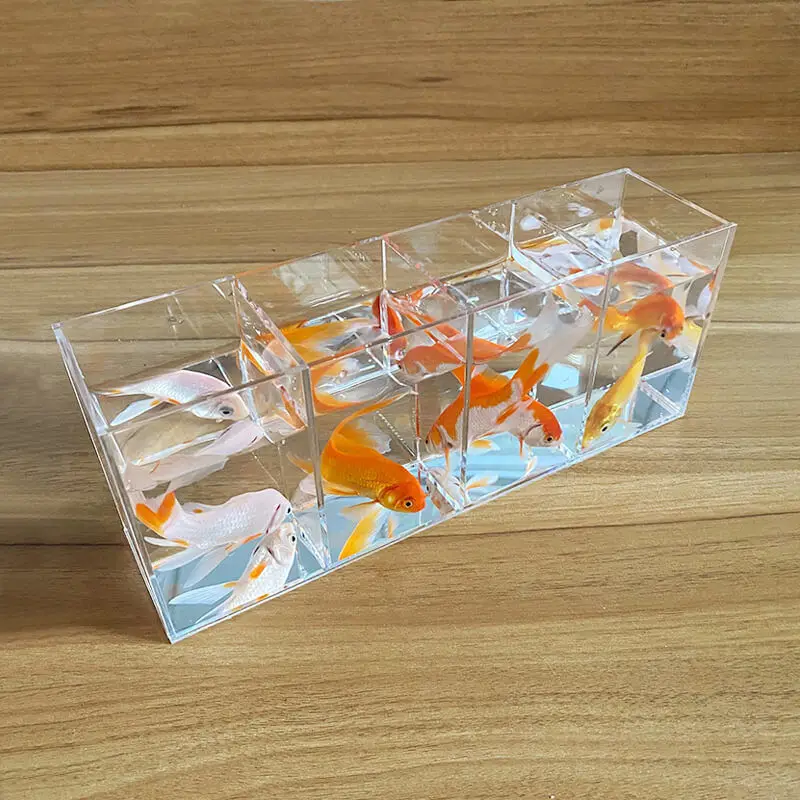 Acrylic Fish Tank Betta Fish Display Rack Multi-grid Desktop Creative Small Fish Tank Isolation Turtle Tank Miniature Landscape