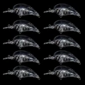 JM10  10PCS