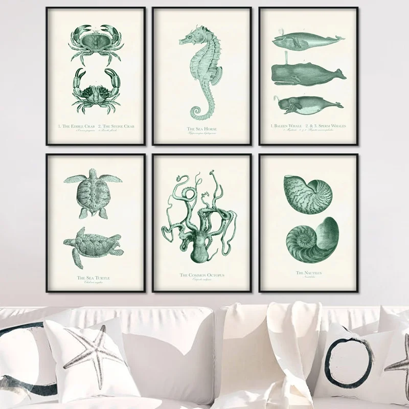 Octopus Starfish Conch Whale Turtle Crab Wall Art Canvas Painting Nordic Posters And Prints Wall Pictures For Living Room Decor