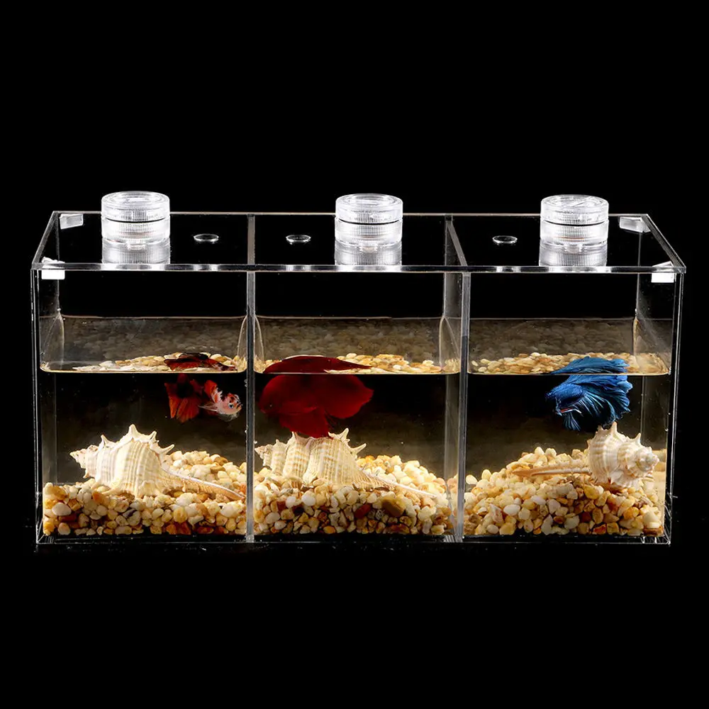 Small Betta Fish Tank Acrylic Aquarium Tank Landscaping Tortoise Tanks Home Office Desk Decorations Fish Bowl