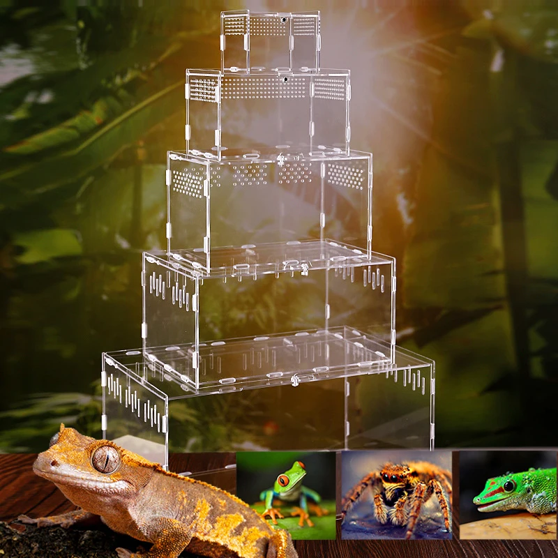 

Reptile Breeding Box Acrylic Spider Lizard Scorpion Enti's Acrylic Assembled Transparent Insect Breathable Terrarium