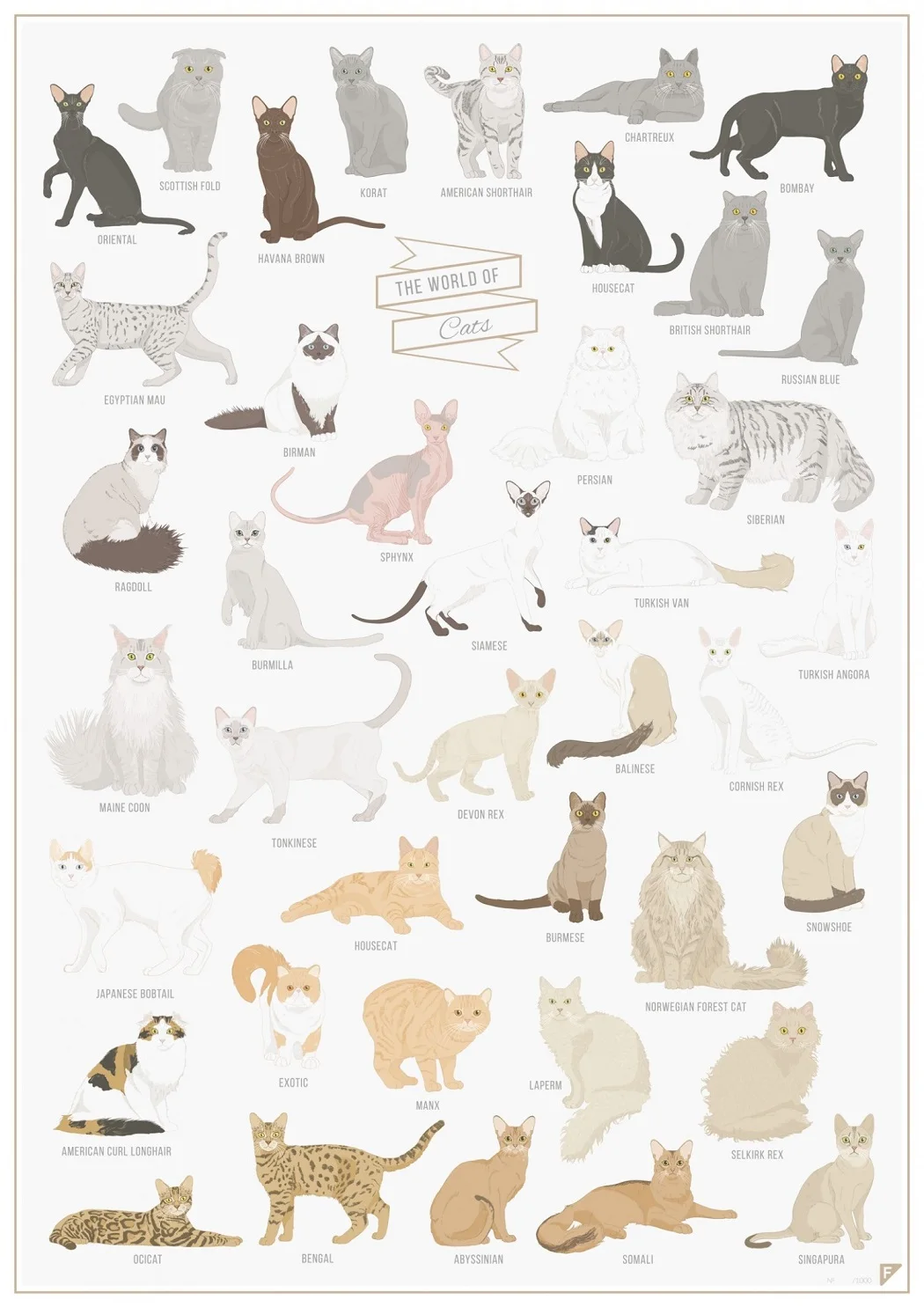 

The World of Cats Art Silk Poster Print 24x36inch
