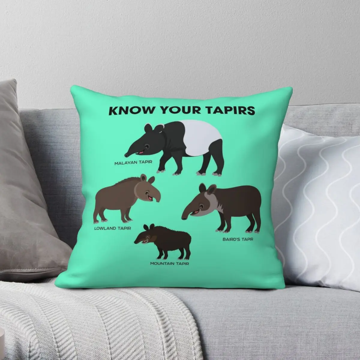 Know Your Tapirs Square Pillowcase Polyester Linen Velvet Creative Zip Decor Pillow Case Home Cushion Case