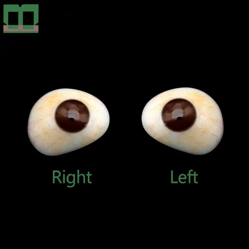 Ocular prosthesis delicate pupil high polymer material left eye oculus dexter mock button hole artificial eye