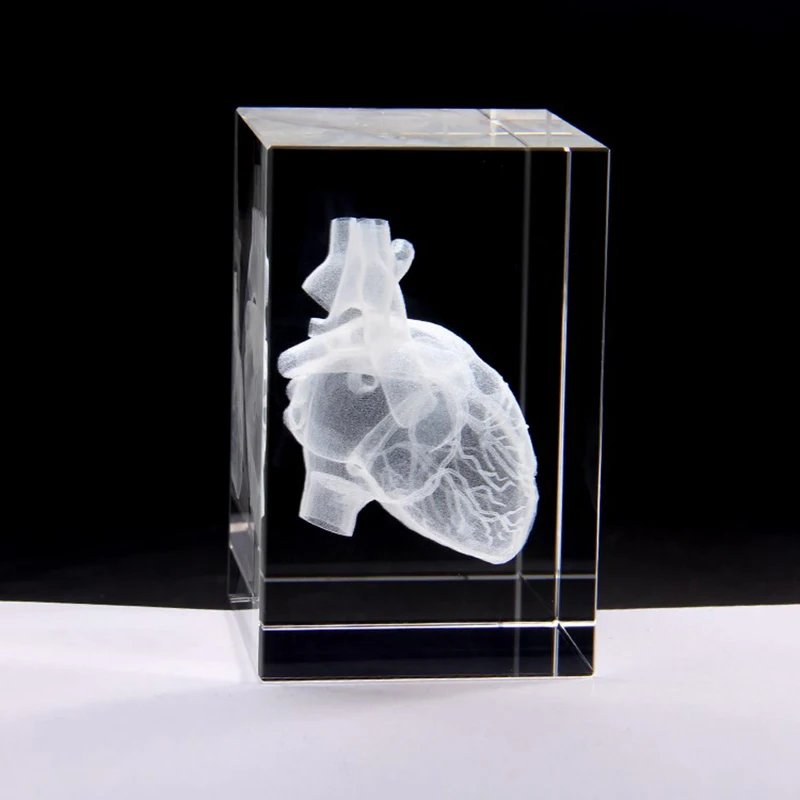 Crystal 3D Laser Heart Anatomy Model Cube Miniature Figurines For Hospital Display Souvenirs