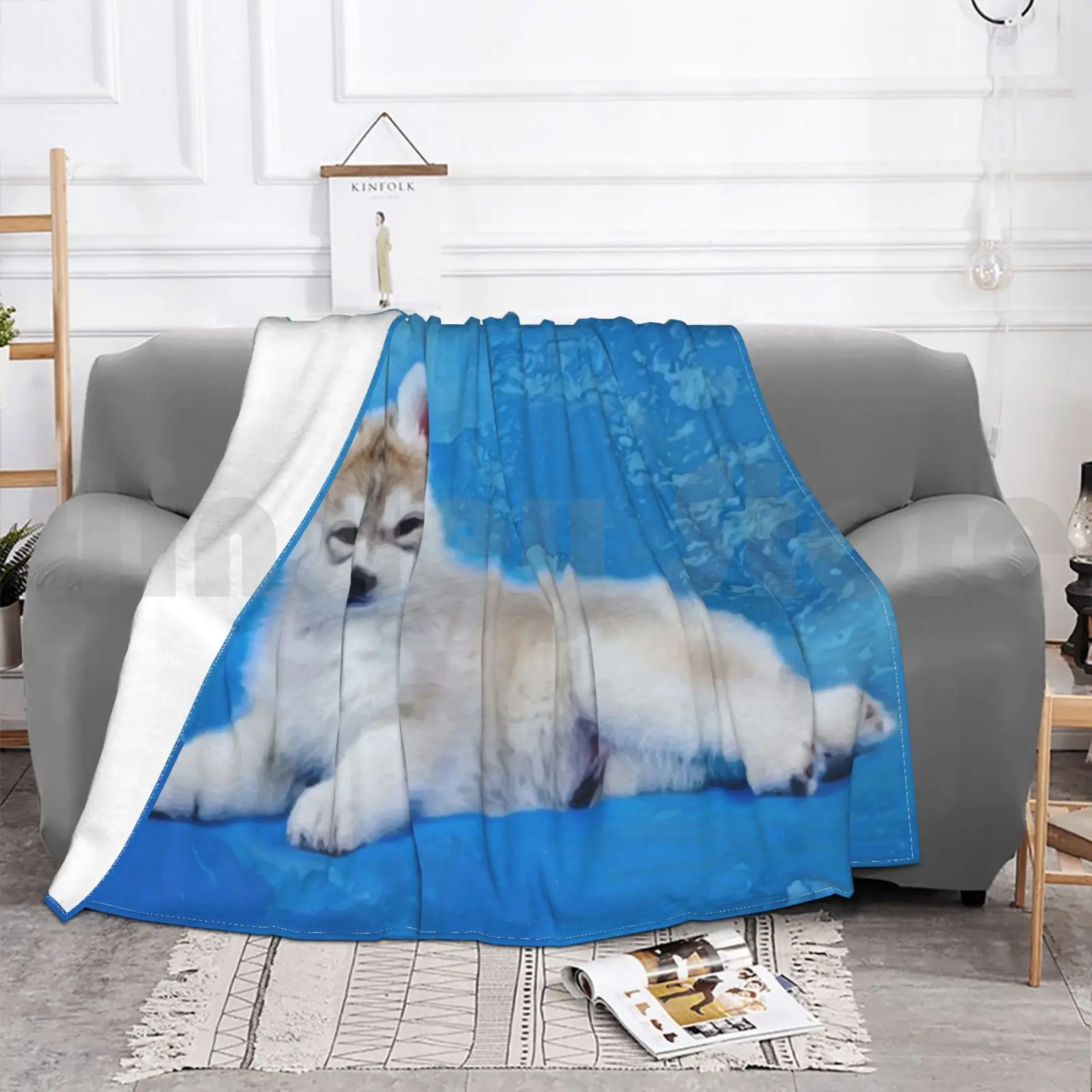 سيبيريا أجش جرو بطانية موضة مخصصة 1114 أجش جرو لطيف جرو سيبيريا أجش هاسكي مزلقة الكلب #4