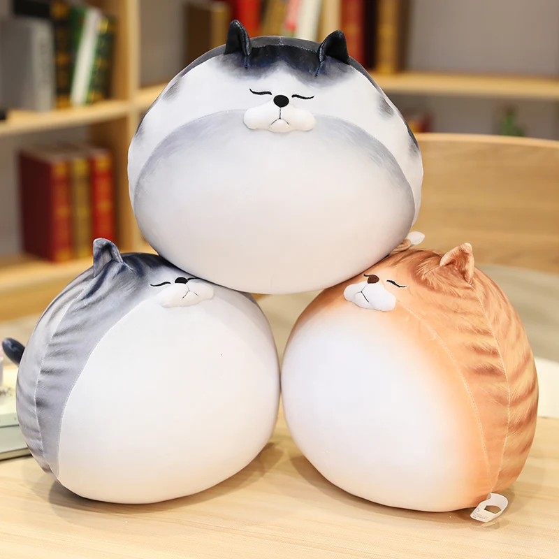 Leuke Vet Katten Knuffels Knuffeldier Katten Pop Zacht Kussen Zitkussen Cadeau Voor Kinderen Meisjes Baby