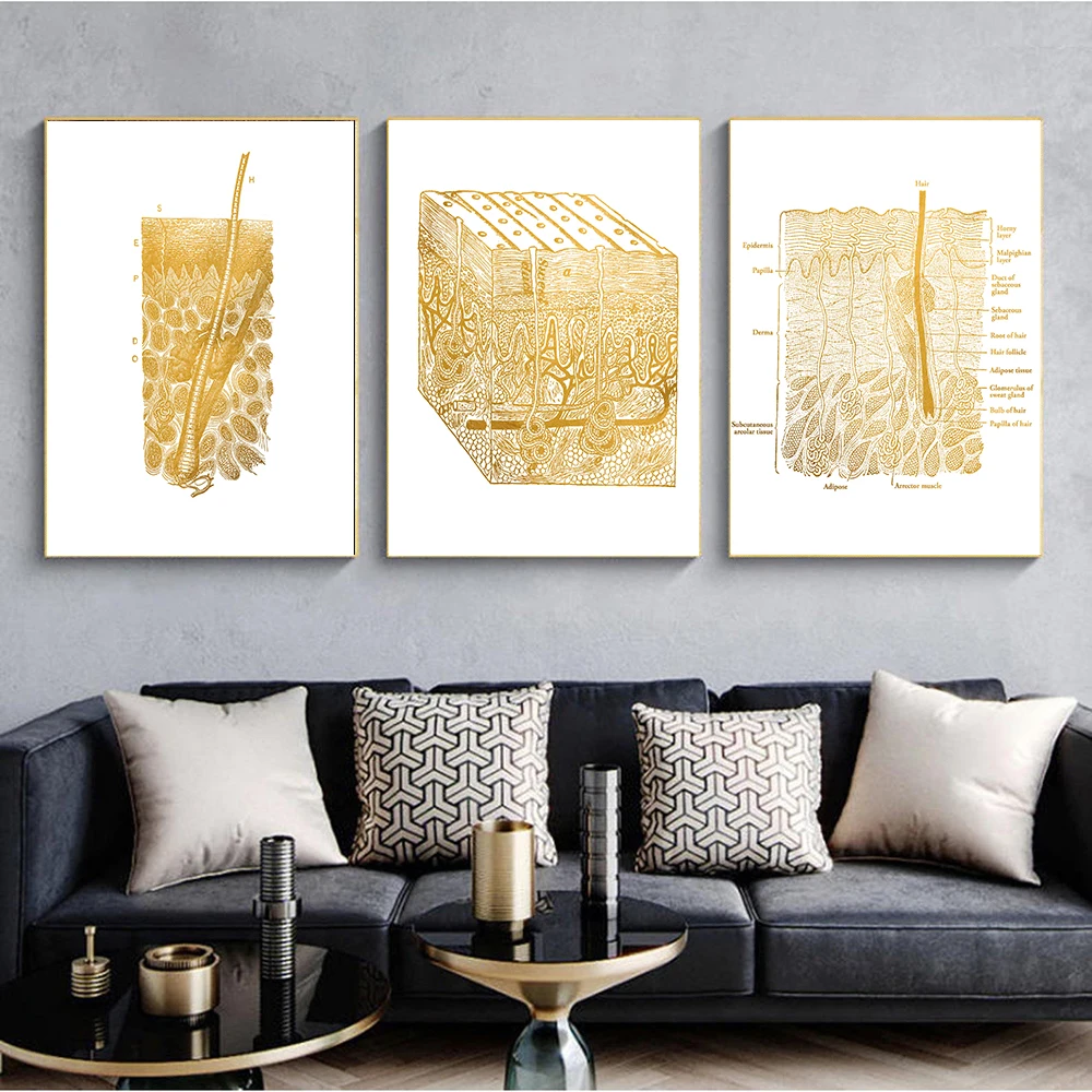 Gold Skin Anatomy Dissection Histology Anatomical Charts Posters Canvas print Wall Pictures for Medical Education Home Decor