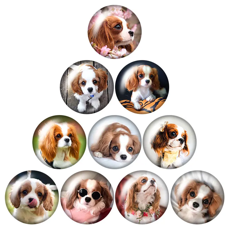 NEW cute dogs Love Pet Bulldog Shepherd dog 10pcs 12mm/16mm/18mm/25mm Round photo glass cabochon demo flat back Making findings