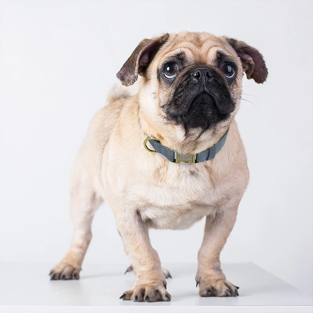 Collier de chien anti-perte personnalisé, étiquette d'identification personnalisée, cuir PU souple, colliers pour animaux de compagnie, structure en métal gravée gratuite pour bouledogue