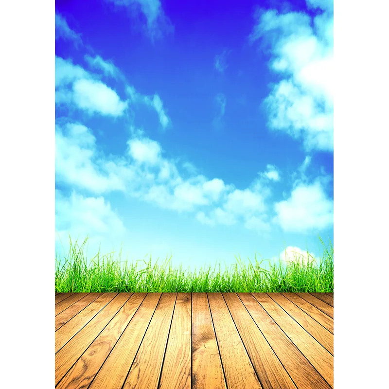 ZHISUXI Landscape Spring Forest Wooden Floor Photography Backgrounds Sky Sea Scenery Baby Photo Backdrops Studio 210309TFX-03
