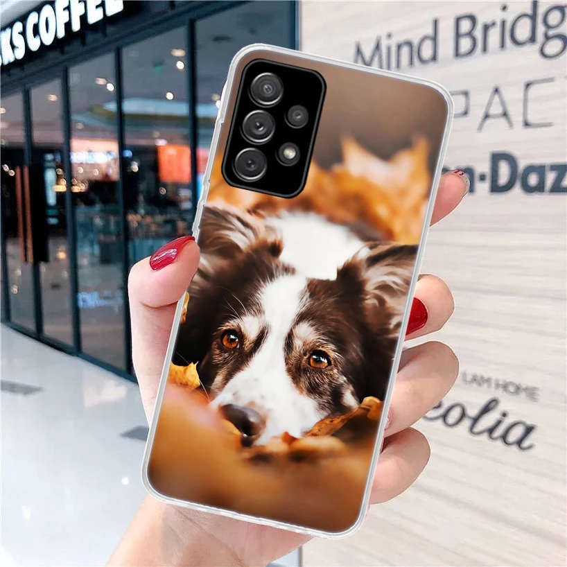 Border Collie Clever For Samsung Galaxy A15 A14 A13 A12 A55 A54 A53 A52 Phone Case A32 A35 A34 A33 A25 A24 A23 A22 A04S A03S A02