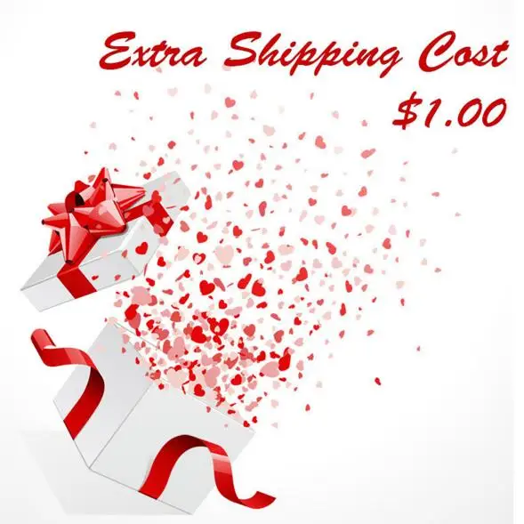 Extra $1.00 Shipping Cost Fee Additional Pay on Your Order