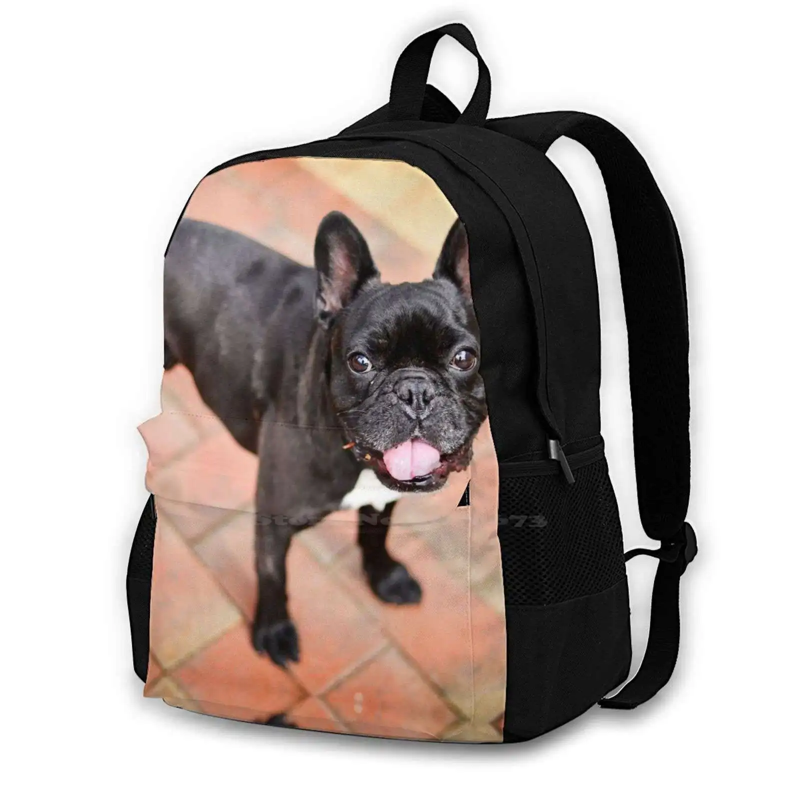 

The Happy Frenchie Backpacks For School Teenagers Girls Travel Bags Frenchie French Bulldog Pet Animal