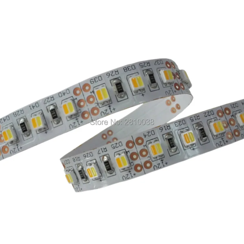 100M/Lot CRI 80+ 120leds/M 3528 led strip light DC12/24V CCT adjustable flexible led strip 10mm bi-color led light strip 19.2W/M