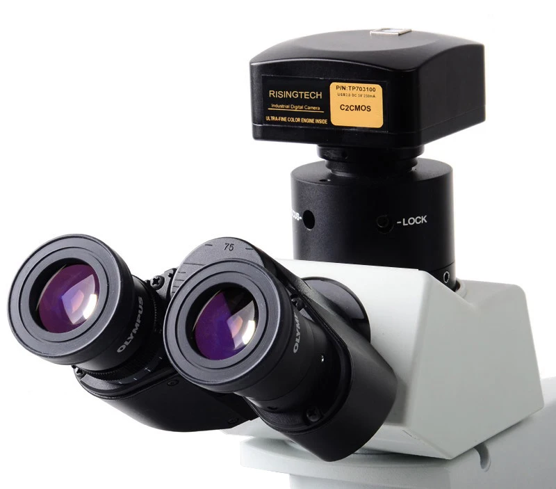 C2 12MP hochauflösende digitale USB-Mikroskopkamera mit 1/2,3-Zoll-CMOS-Sensor und USB2.0-Ausgang mit C-Mount – Detail 2