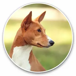 S61761 # Brown Basenji Dog Puppy Self-adhesive Decal Car Sticker Waterproof Auto Decors on Bumper Rear Window Laptop