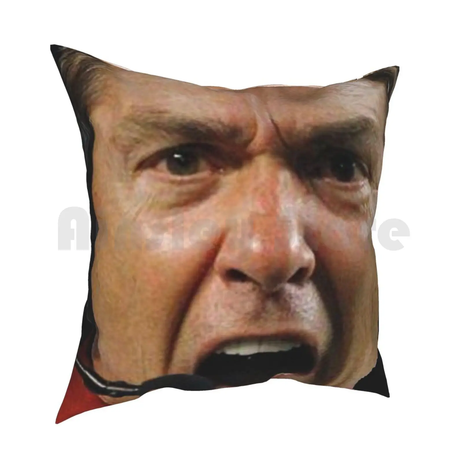 Nick Saban The Pillow Case Printed Home Soft Throw Pillow Nick Saban The Fashion New York Pattern London Paris France