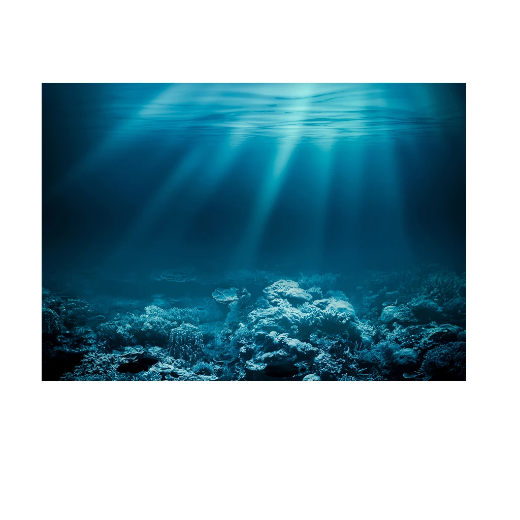 Undersea Background Aquarium Photography Backdrop Sea Diving Holiday Photo Studio