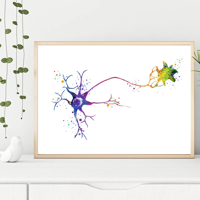 Multipolar Brain Neuron Cell Anatomy Art Prints Brain Neurology Medical Science Poster Anatomical Biology Decor Canvas Painting