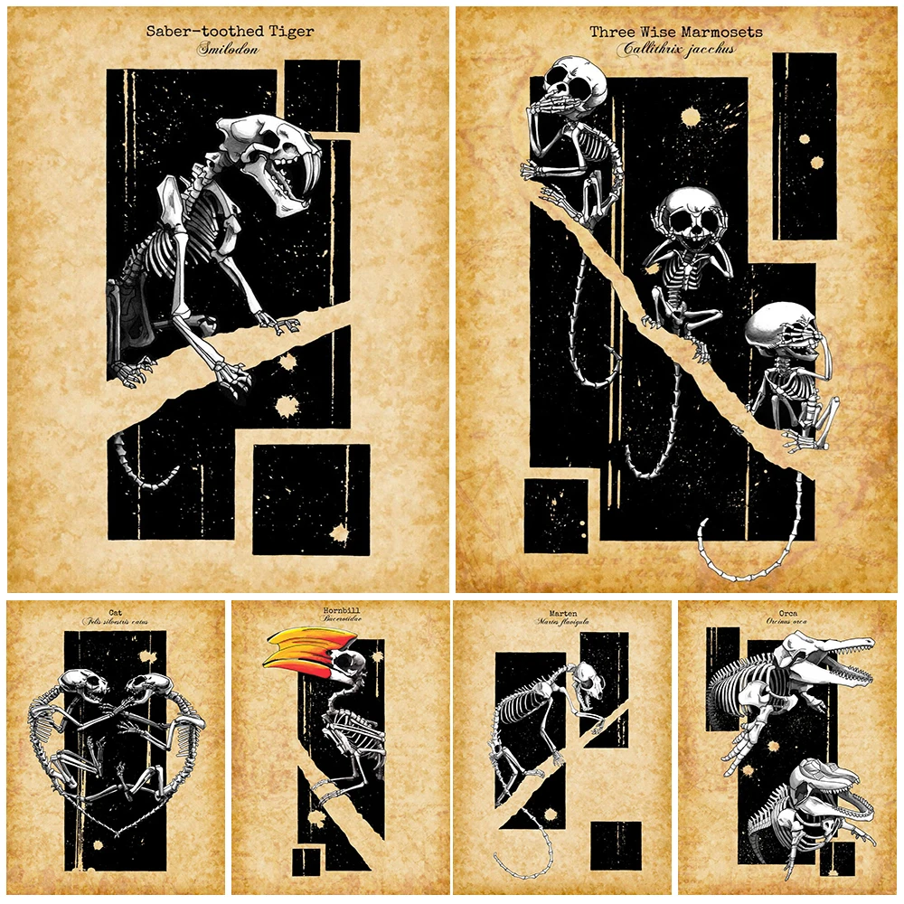 Animal Skeleton Art Retro Poster And Prints Decorative Hornbil,Chameleon,Koala,Orca,Marten Wall Art Canvas Painting Unframed