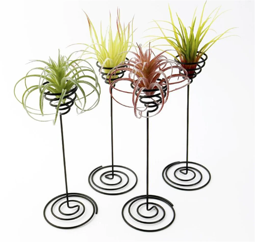 New 50pcs/lot Air Plant Stand Holder Black Iron Spiral Flower  AirPlant Container Tillandsia Holder for Displaying Plant